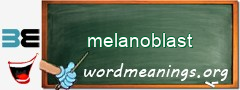 WordMeaning blackboard for melanoblast